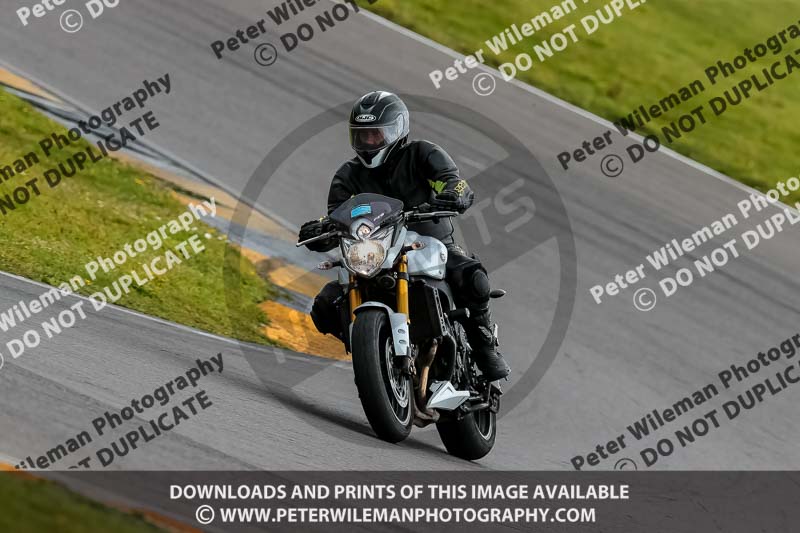 PJ Motorsport 2019;anglesey no limits trackday;anglesey photographs;anglesey trackday photographs;enduro digital images;event digital images;eventdigitalimages;no limits trackdays;peter wileman photography;racing digital images;trac mon;trackday digital images;trackday photos;ty croes